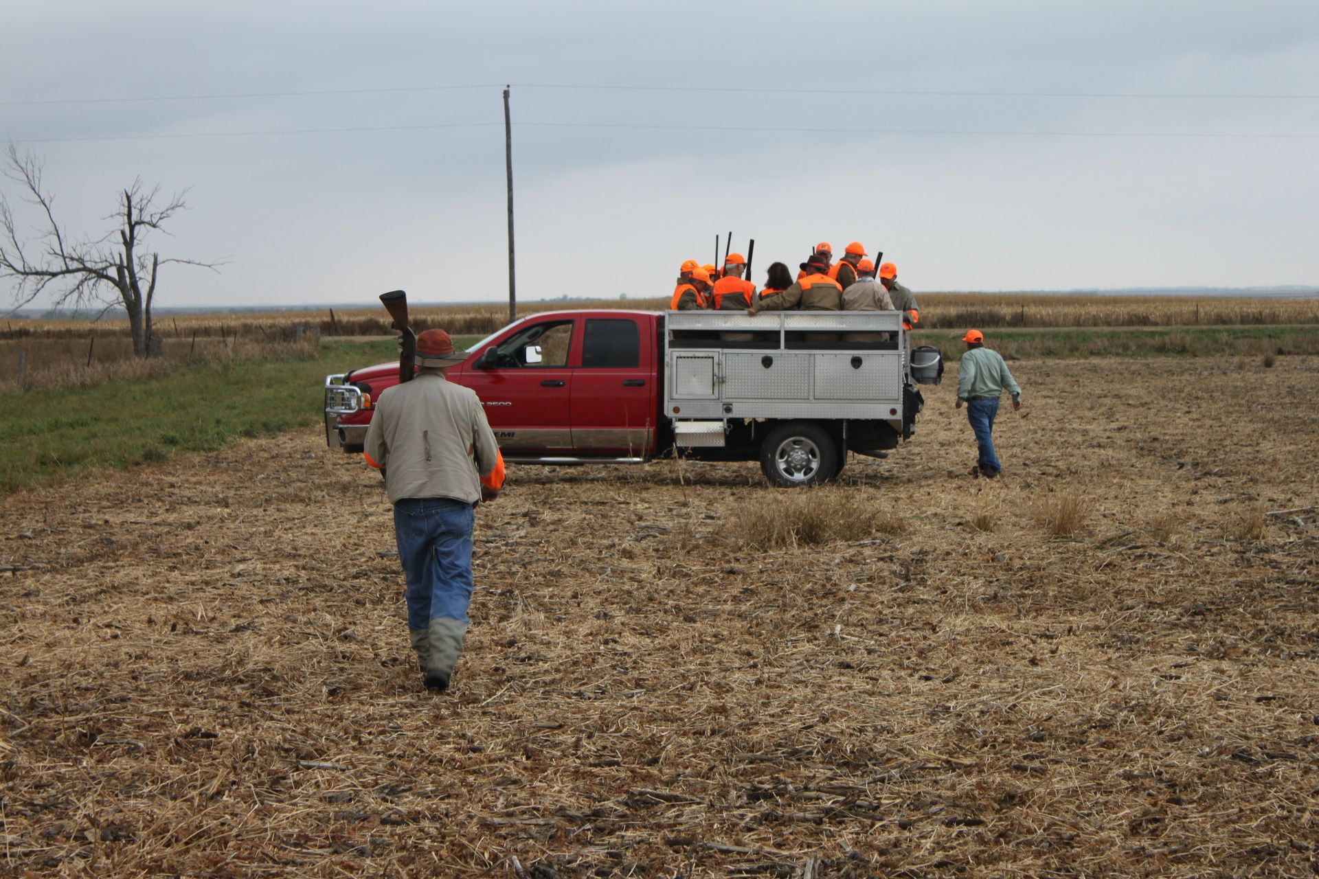 South Dakota Pheasant Hunt Photo Gallery Mitchell, SD